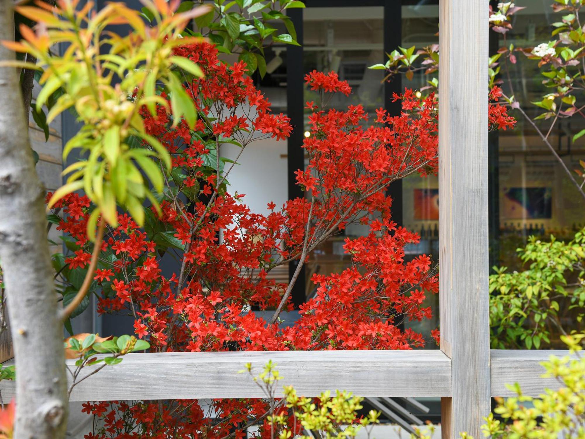 Ref Kyoto Hachijoguchi By Vessel Hotels Buitenkant foto